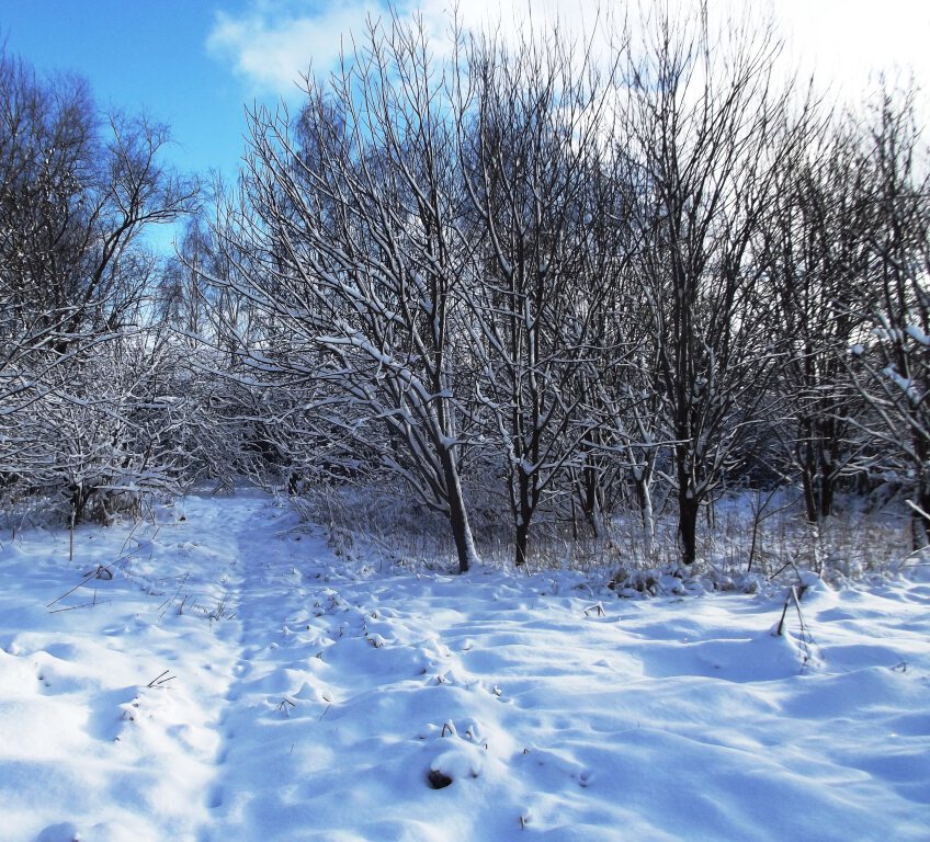 Последний день осени