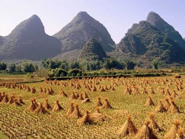 Сельское хозяйство Китая