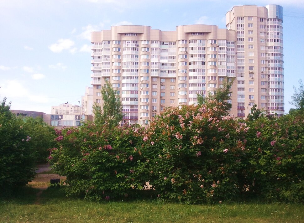 В парке летом