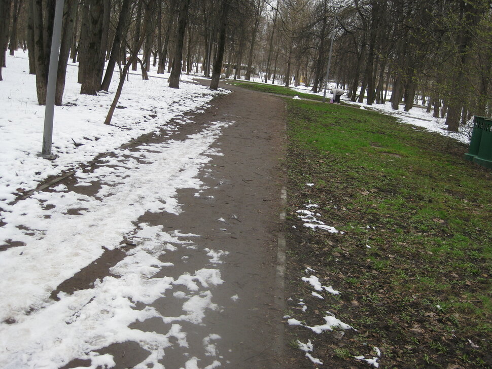 Апрельские дорожки
