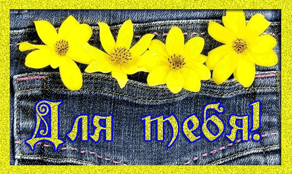 цветы в джинсах для тебя