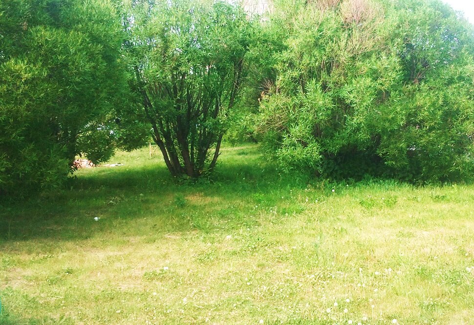Июнь