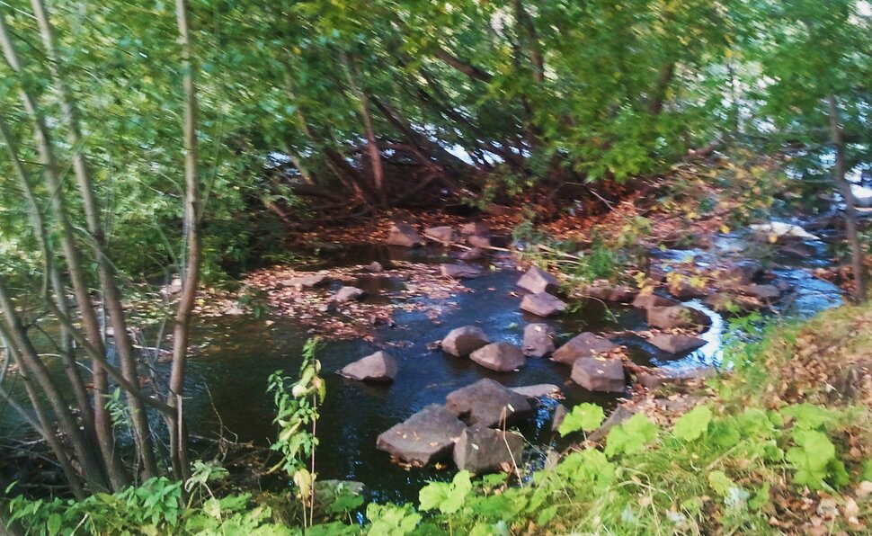 Осенью у реки