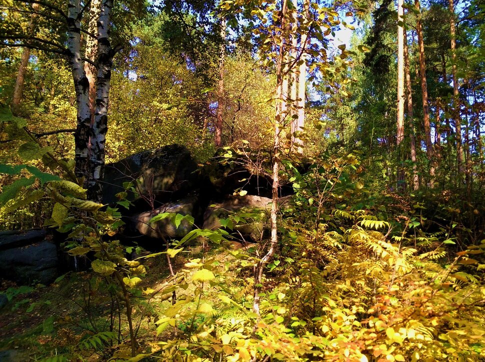 Золотая осень