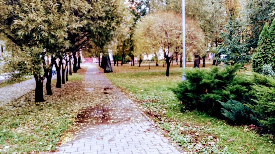 Осенний Сквер Фото