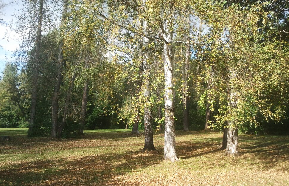 Сентябрь