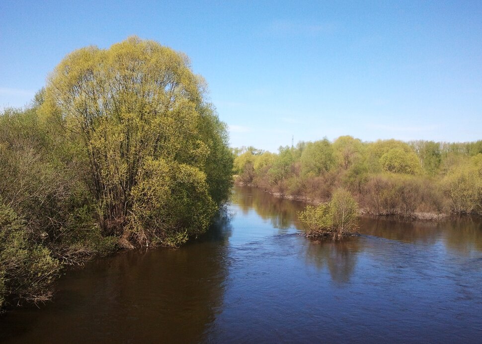 У реки в мае