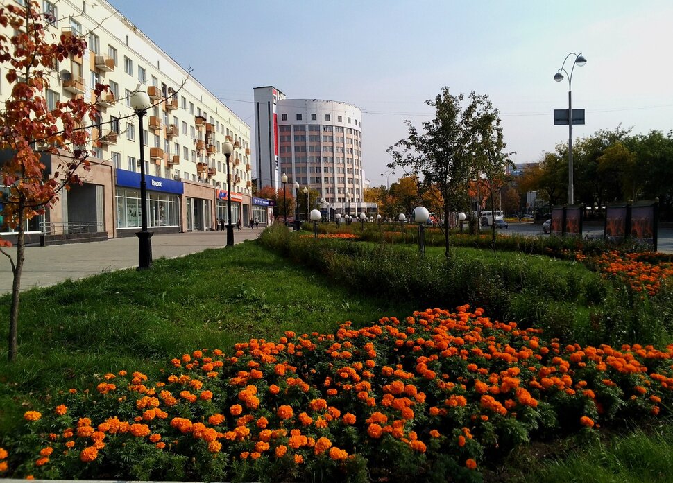 Пот главному проспекту