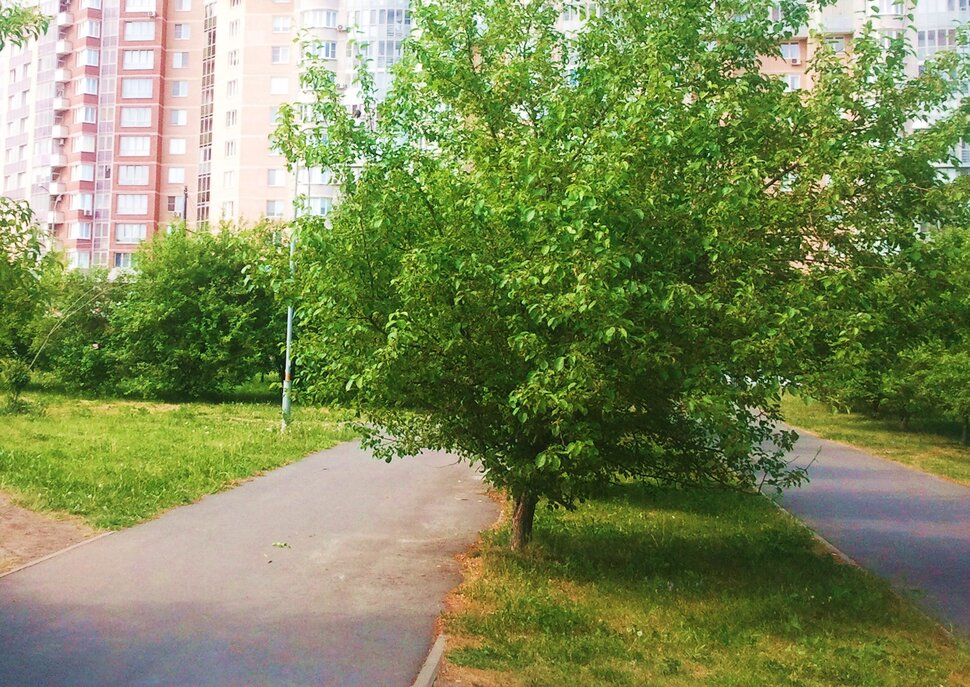 Июнь