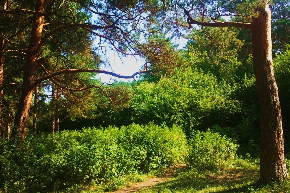 По горкам