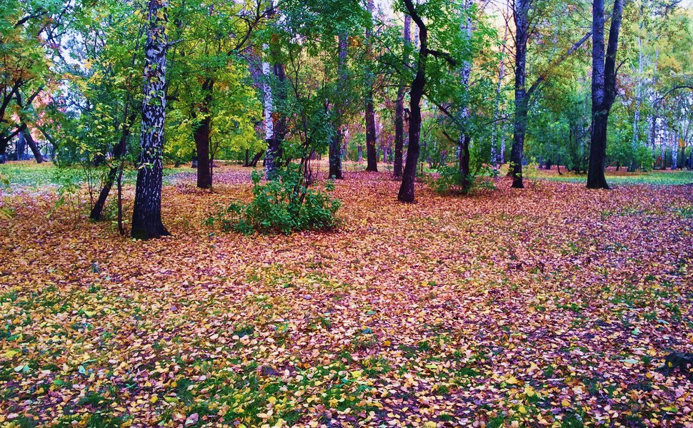 Сентябрьская пора