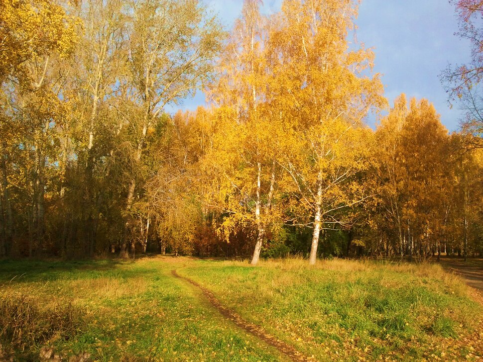 Желтый октябрь