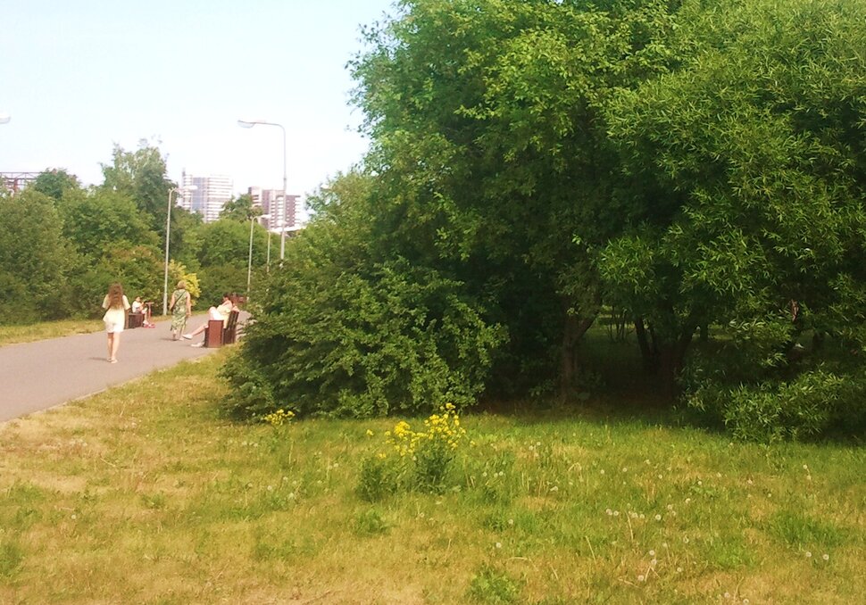 Июнь