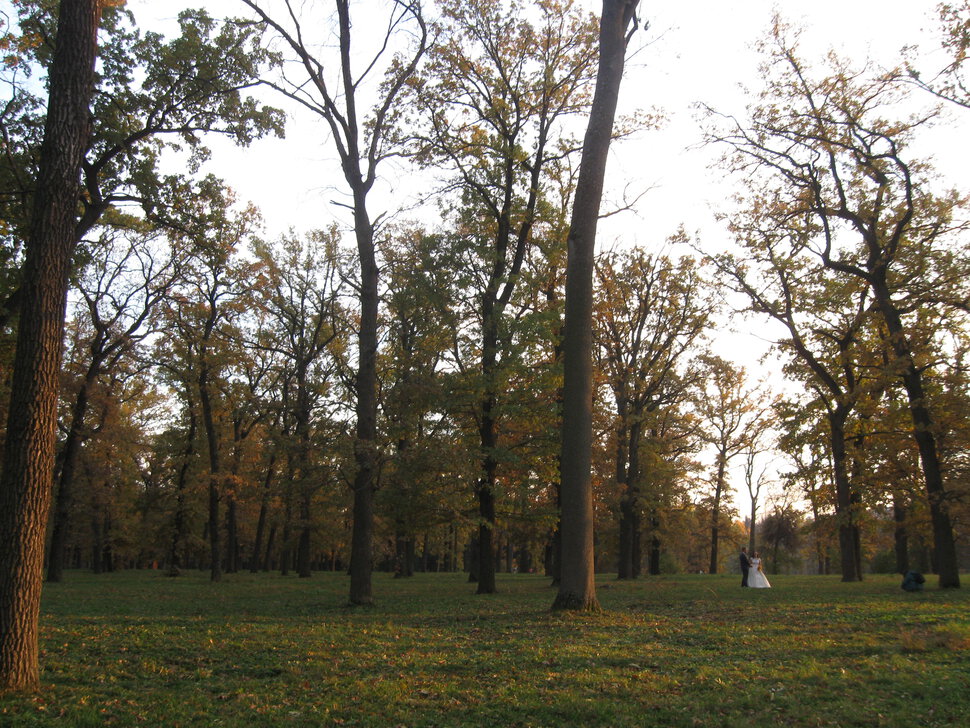 Осень в Софиевском парке, Умань