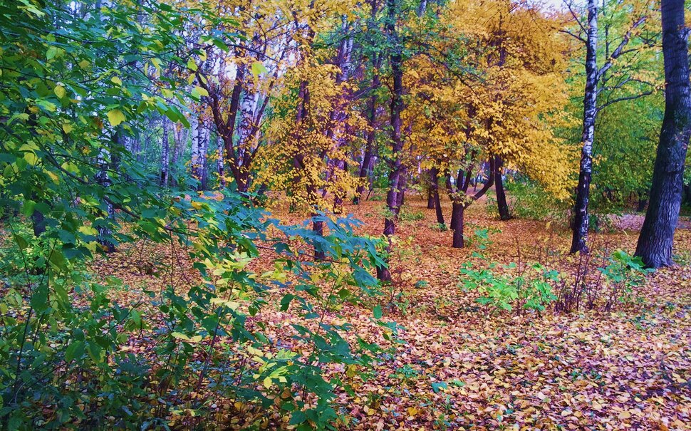 Грустная осень