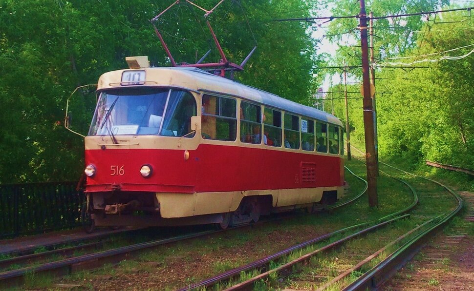 По лесам