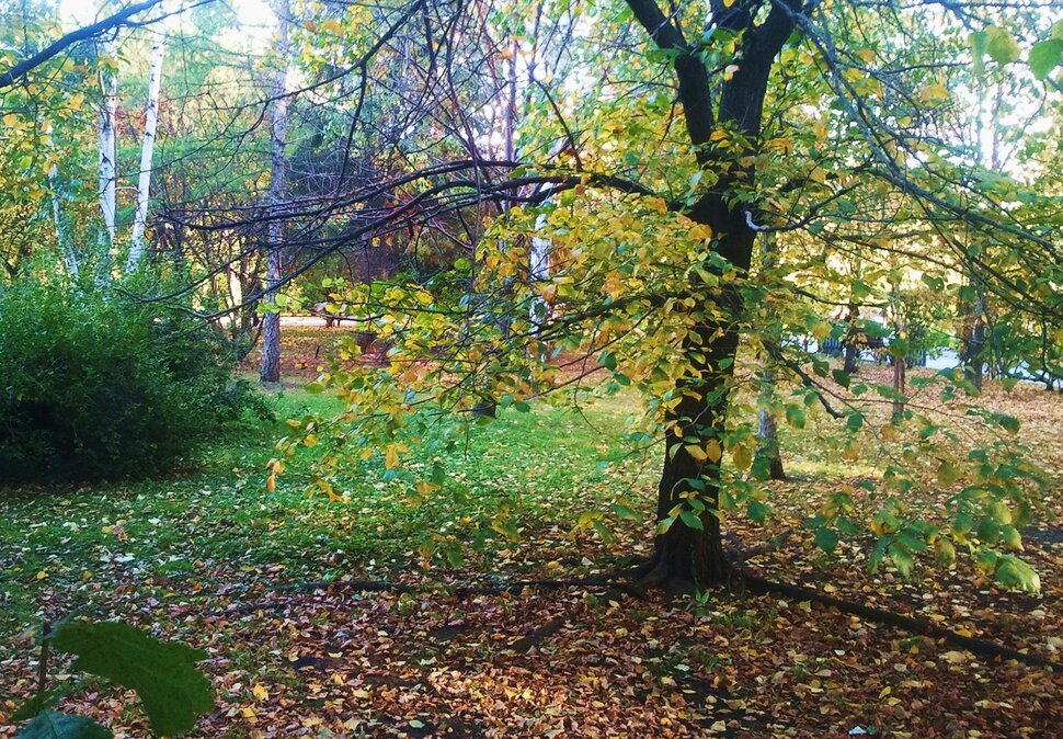 Сентябрь