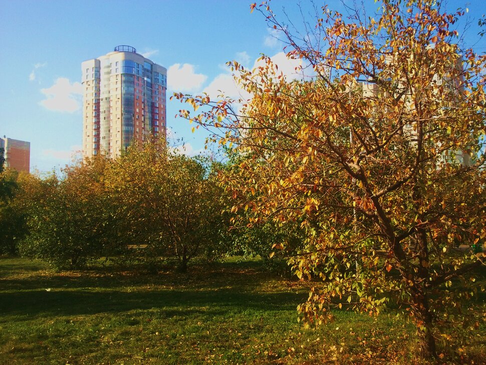В парке осенью