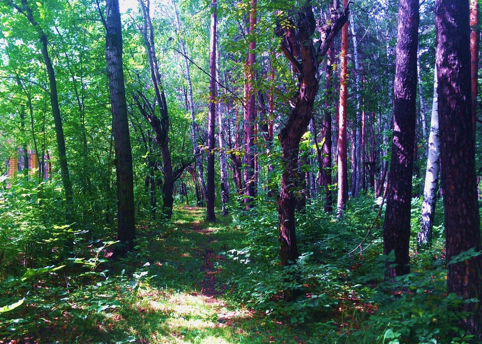 В уралмашевском парке