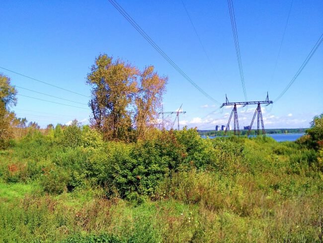 С природой