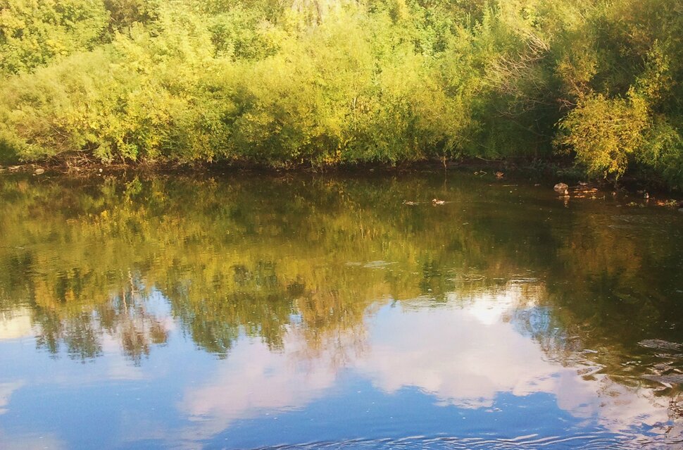 У реки