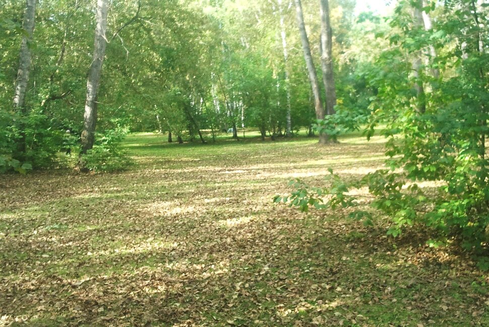 По лесочку