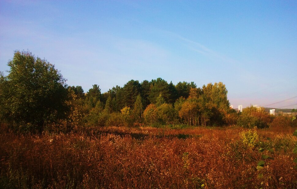 Осень