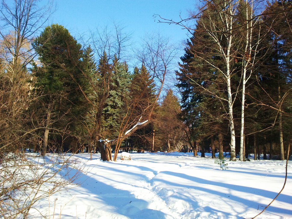 Солнышко припекает, скоро всё растает