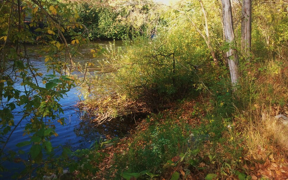 У реки