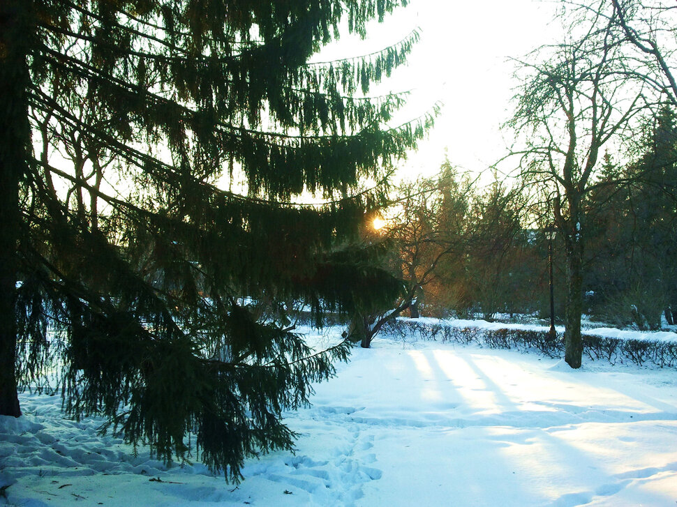 Зимний закат