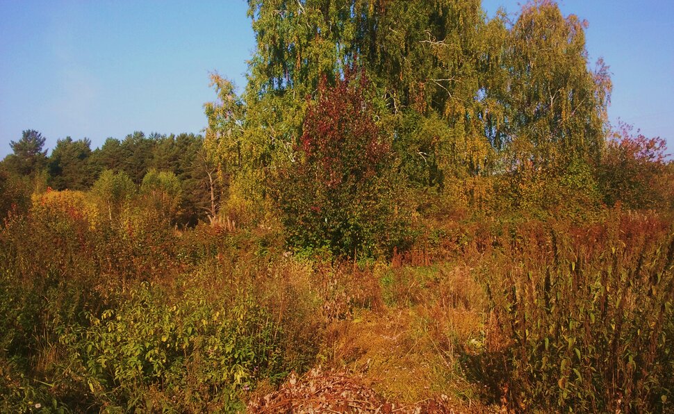 Сентябрь