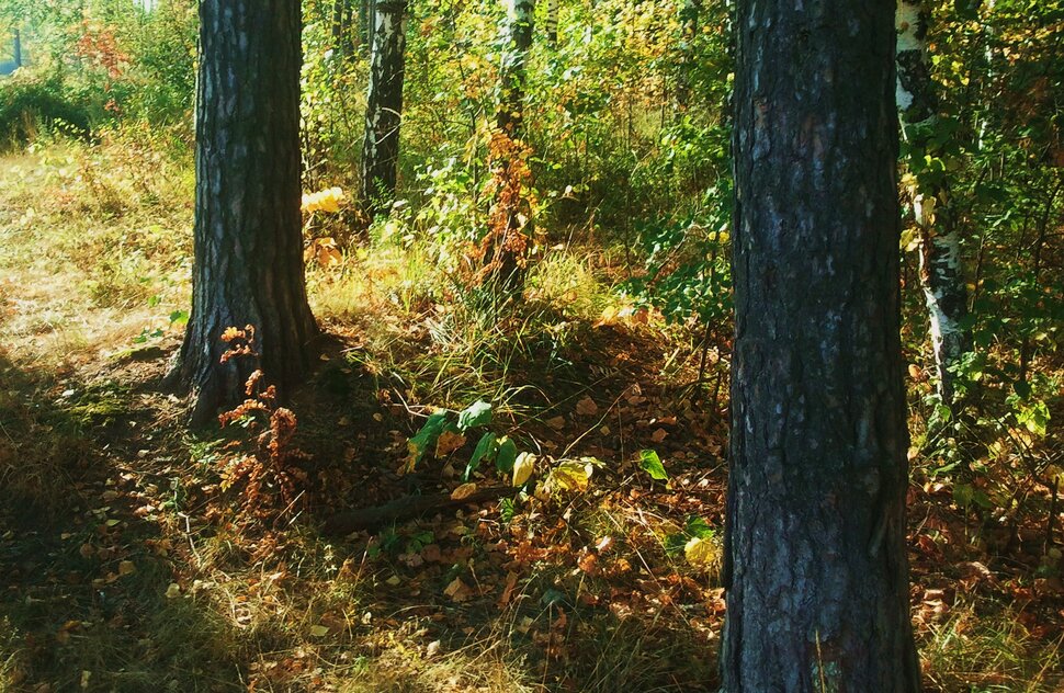 Сентябрь