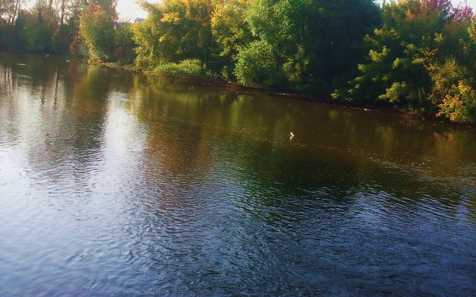 У реки