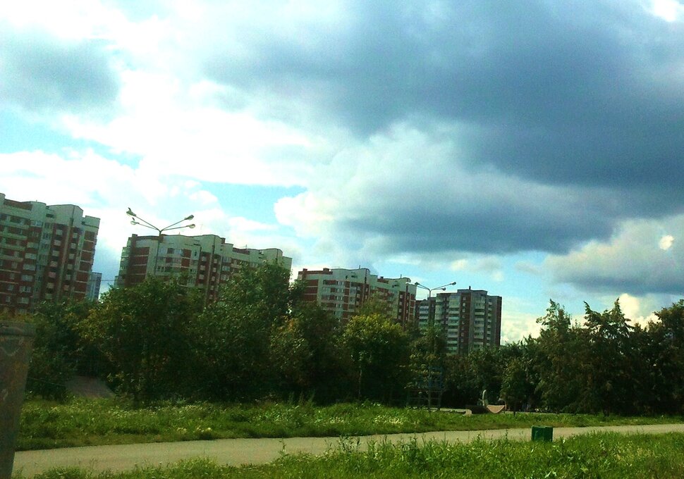 В парке летом