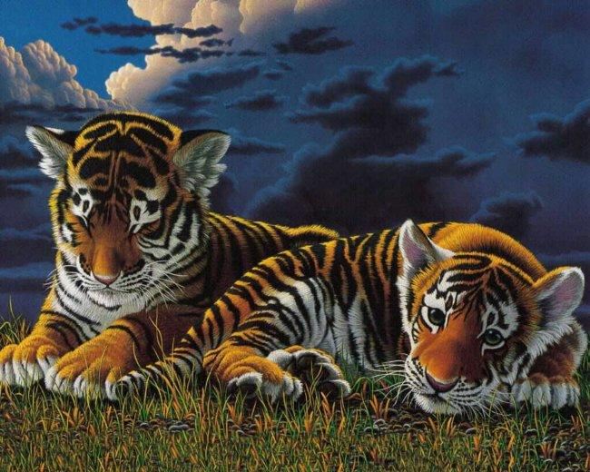 Картинки тигры