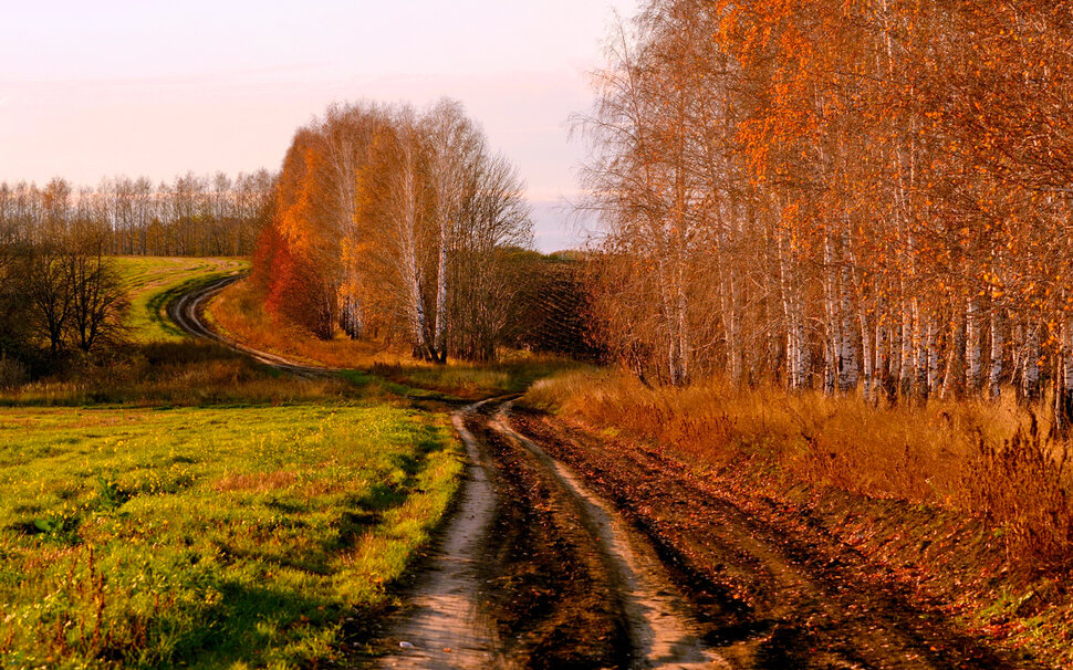 Красота осенней природы