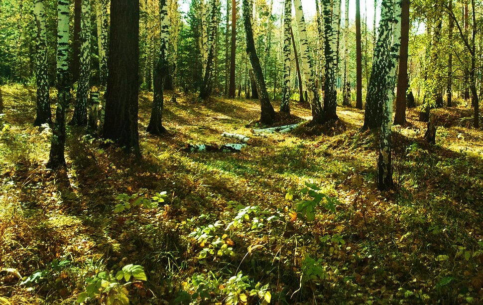 Осенними закоулками