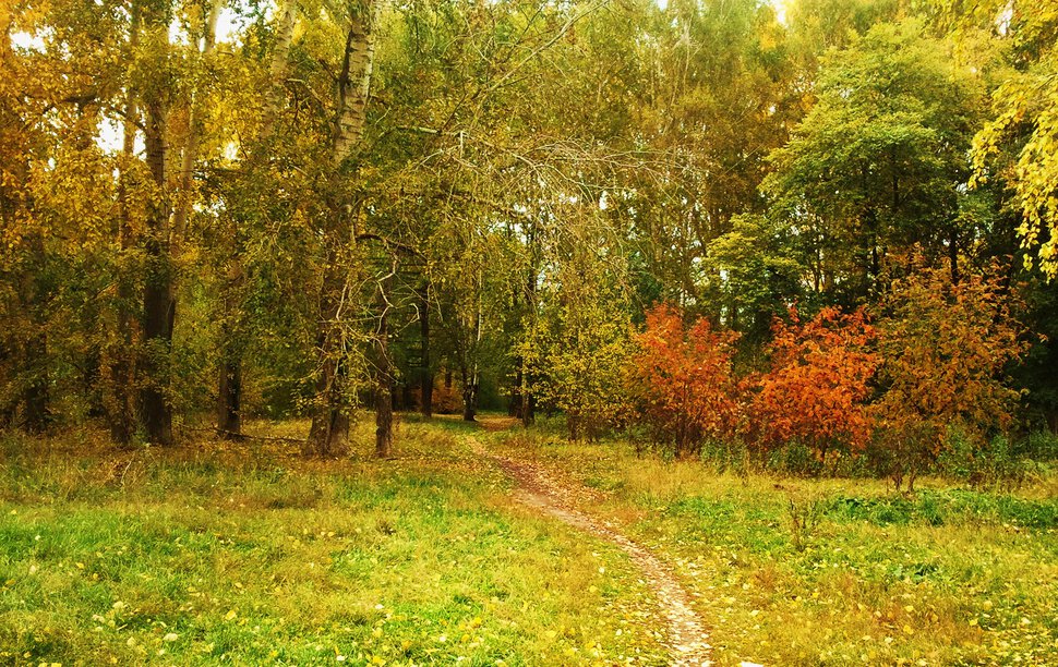 Осеннней тропинкой