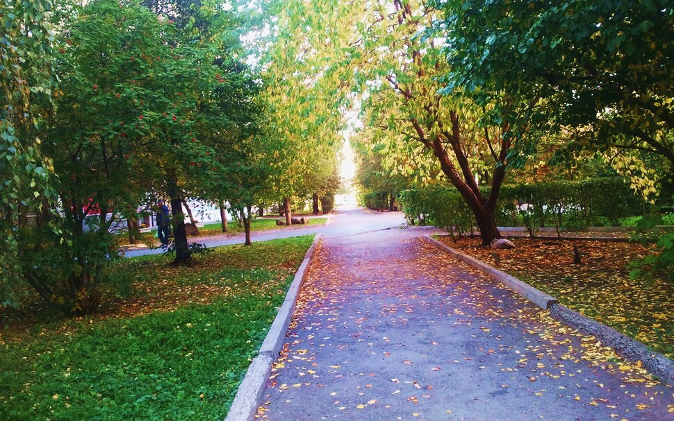 Сентябрь