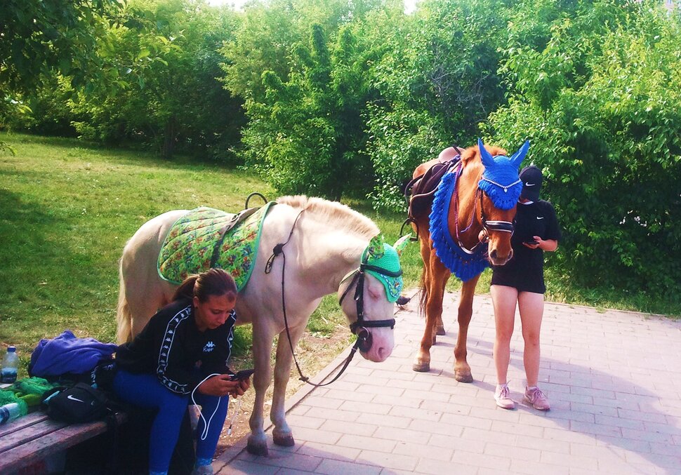 В парке летом