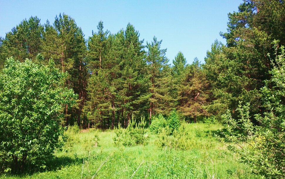 Яркий июнь