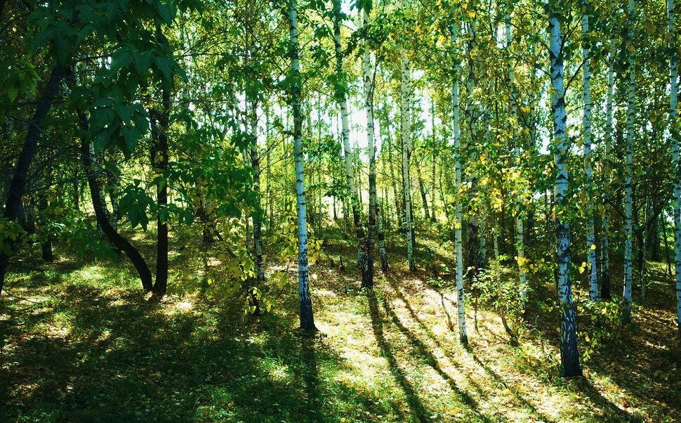 Осенняя яркость