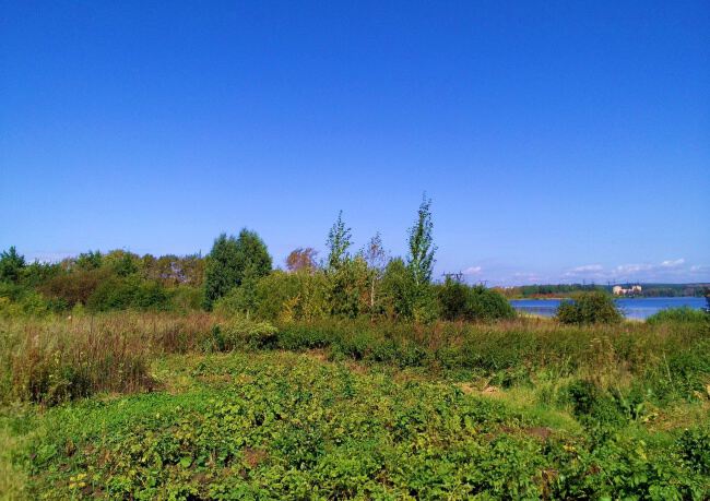 С природой