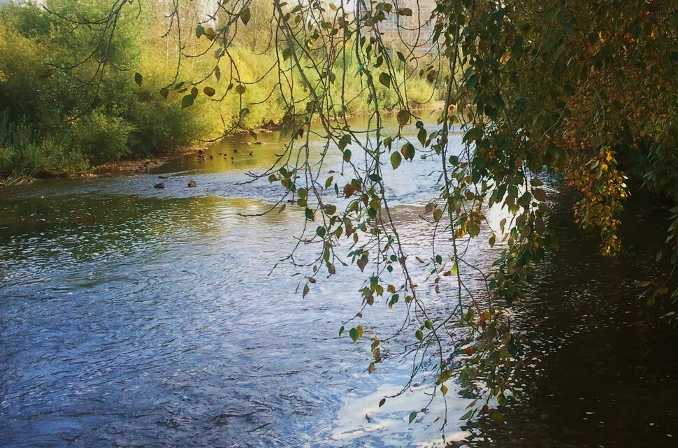 У реки