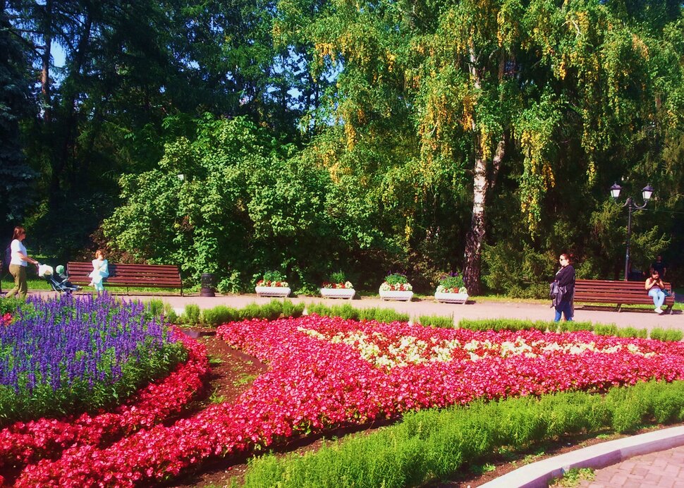 В дендрарии