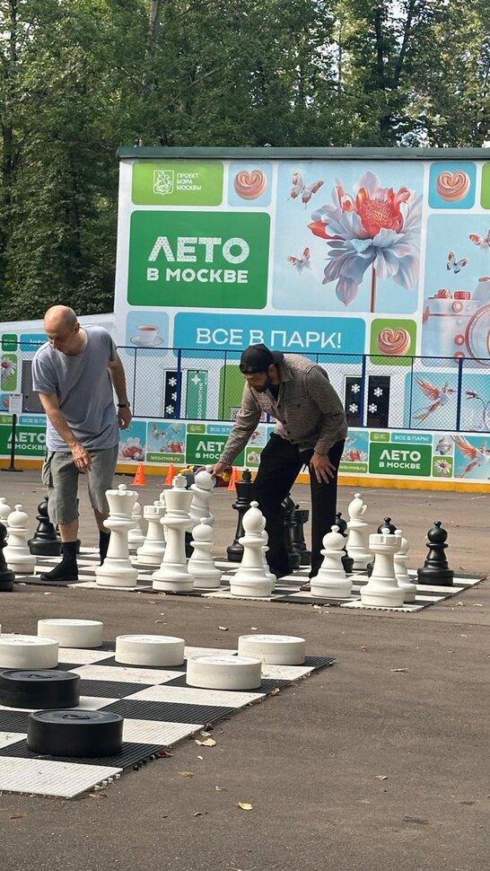 Шахматы