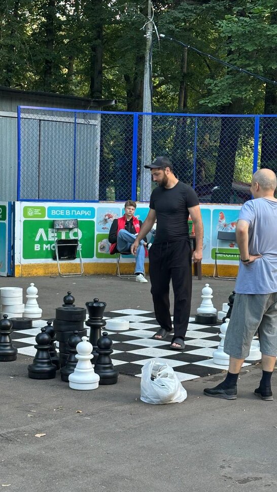 Шахматы