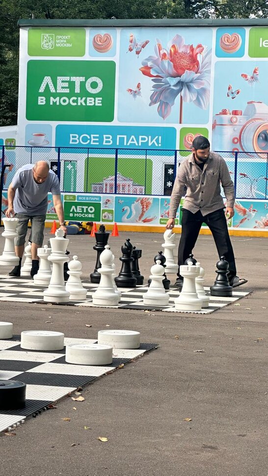 Шахматы