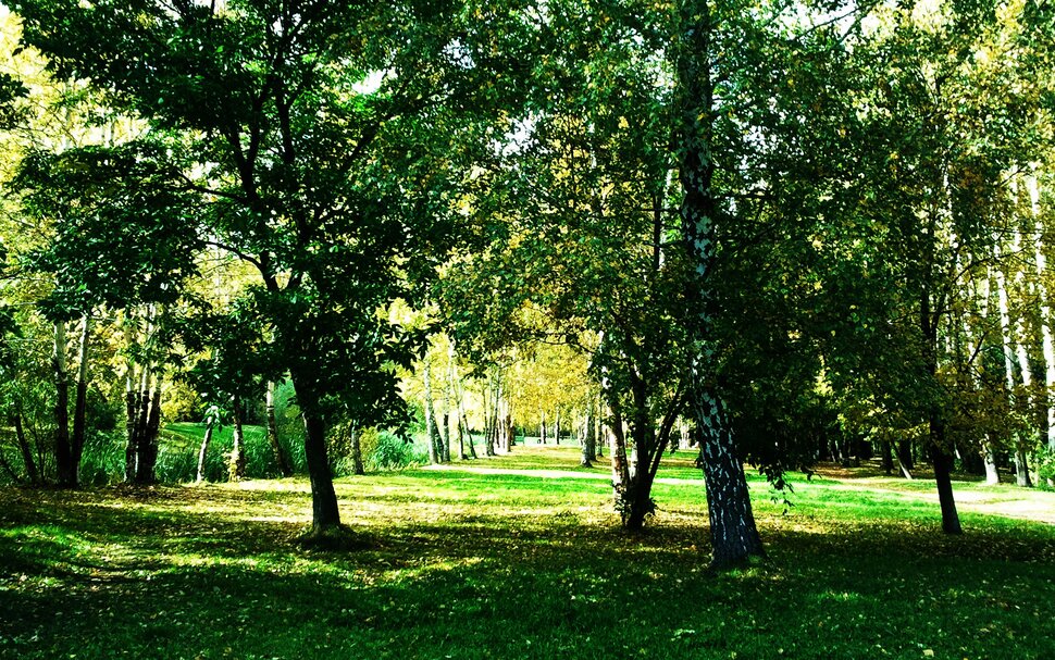 В осеннем лесу