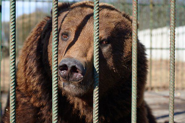 Взгляд укоряющий